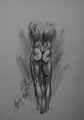 Michael Hensley Drawings, Male Form 120